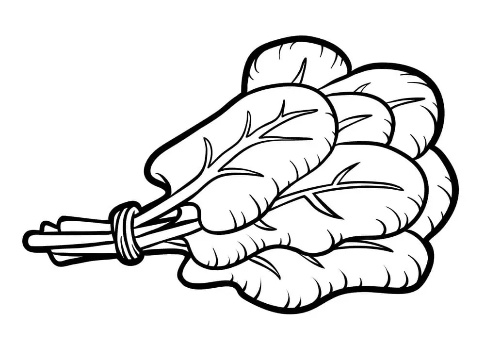 Spinach Coloring pages 1