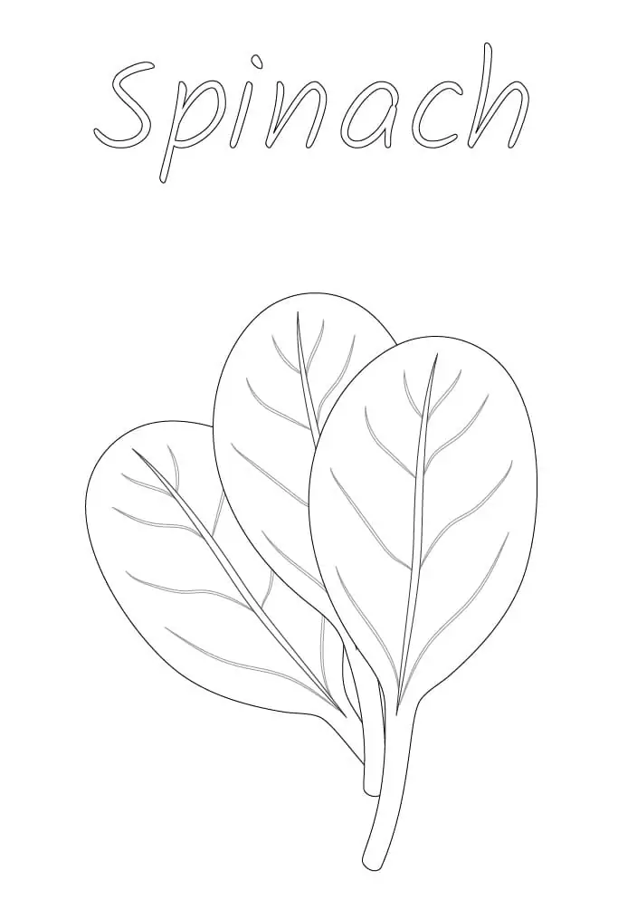 Spinach Coloring pages 4