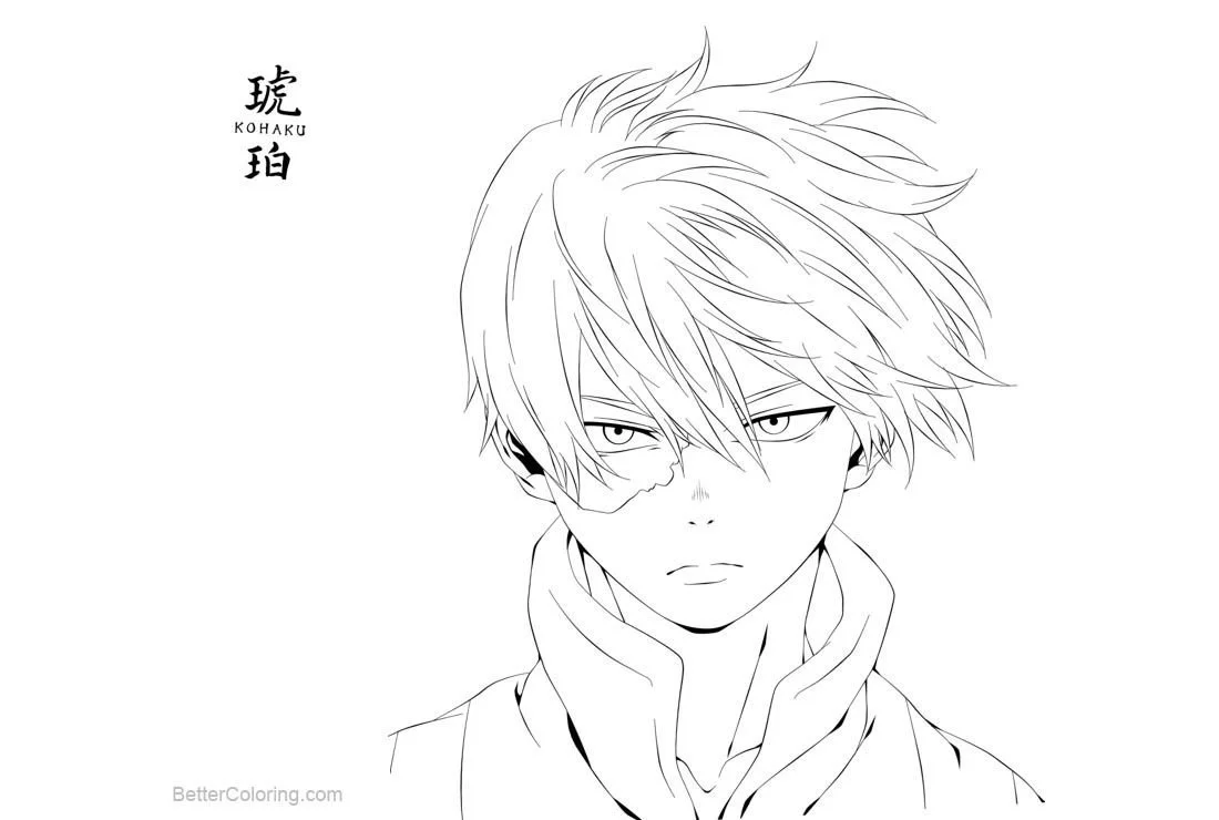 Todoroki Coloring Pages 2